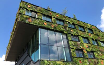 démarche RSE en entreprise